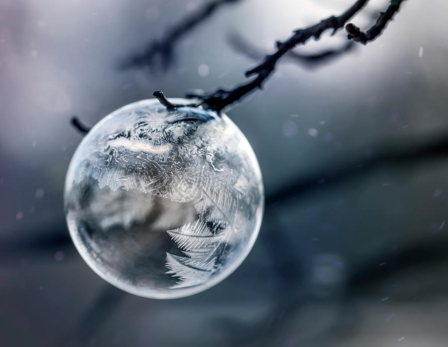 When the world freezes Photograph by Jaroslaw Blaminsky