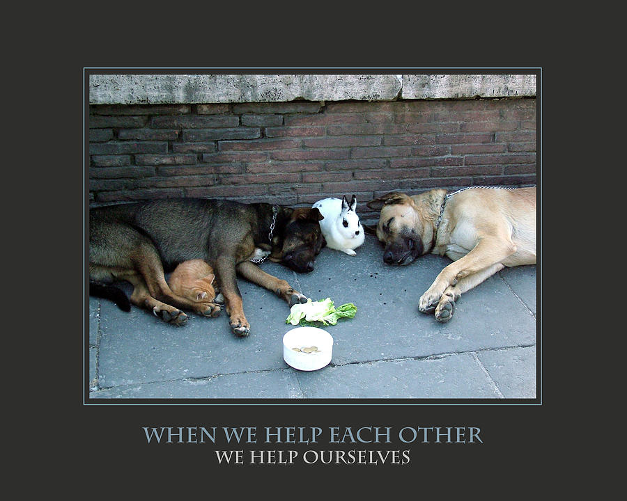 Inspirational Photograph - When We Help Each Other by Donna Corless