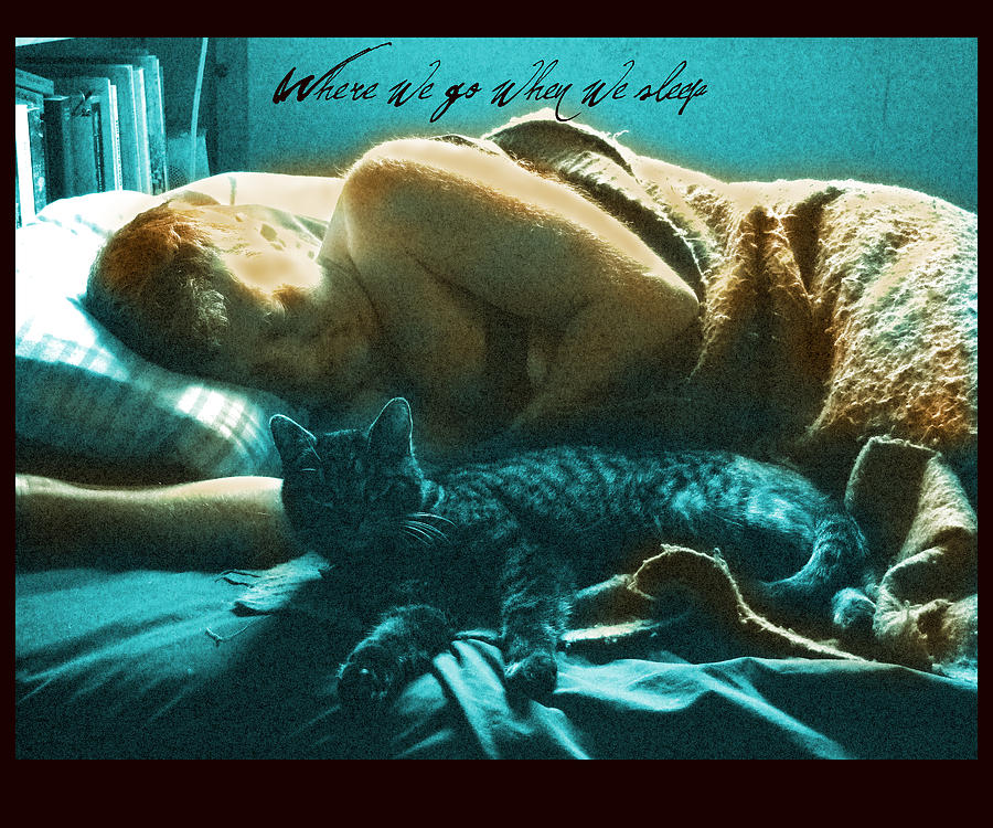 When We Sleep Photograph by Diana Ludwig