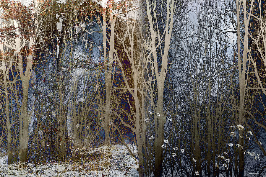 Winter Digital Art - When Winter Stays by Ron Jones