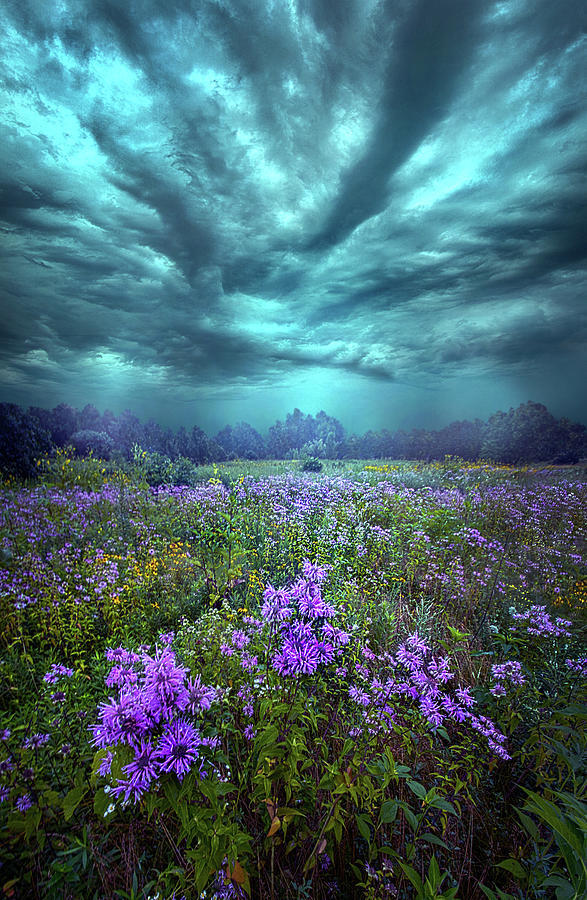 When You Can Only Feel The Rain Photograph by Phil Koch