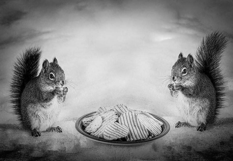 Squirrel Photograph - When you lose your nuts there is always chips by Bob Orsillo