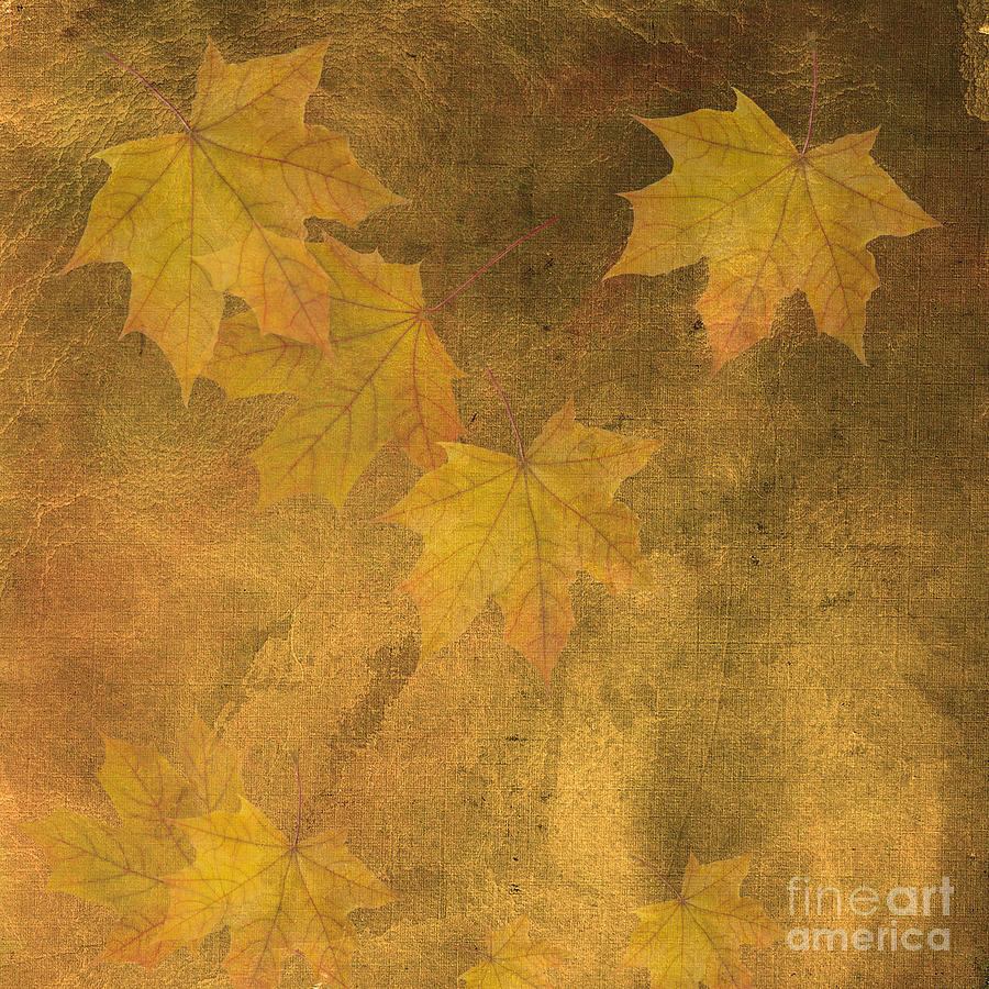 Fall Digital Art - When You See These Signs, Look Up by Beverly Guilliams