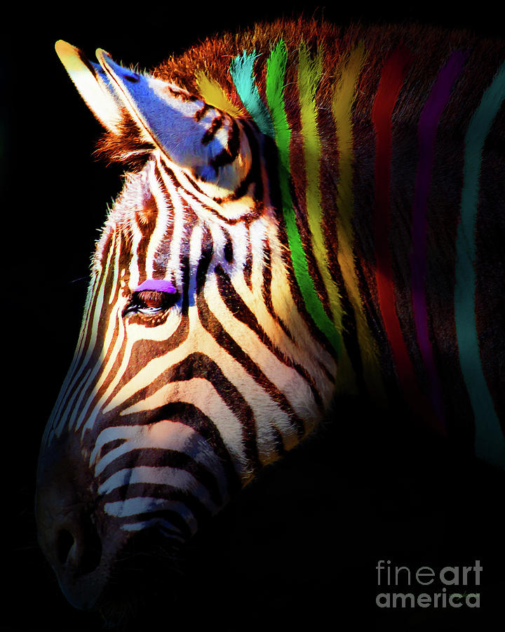 Zebra Photograph - When Zebras Dream 7D8908 vertical by Wingsdomain Art and Photography