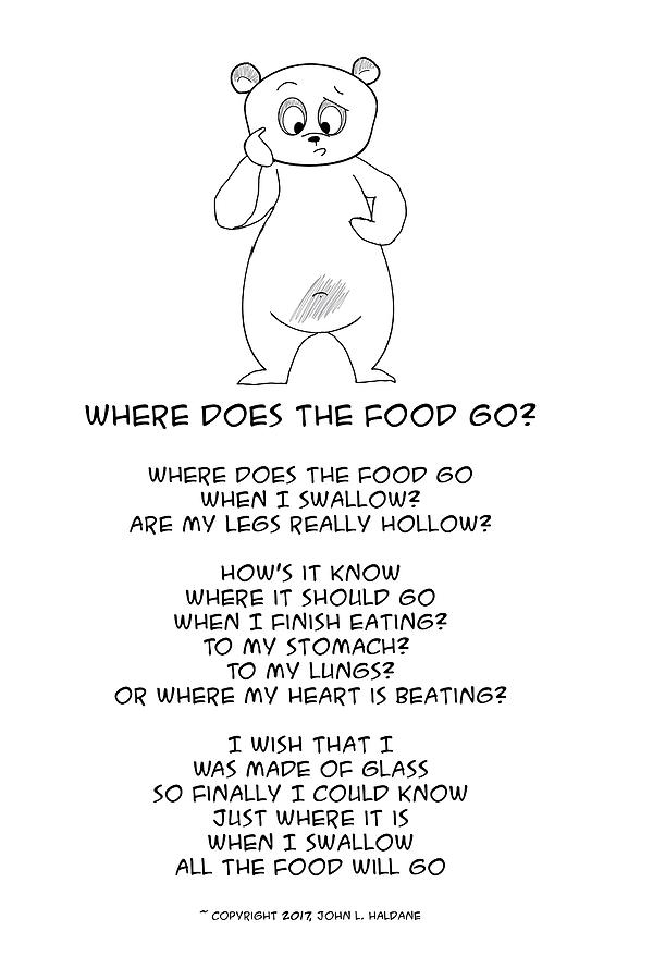 Where does the Food Go Drawing by John Haldane
