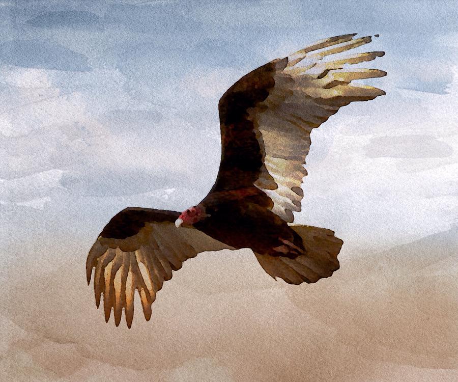 Where Eagles Soar Painting by Mark Taylor
