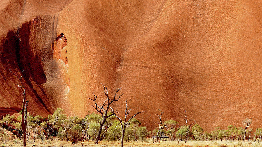 Uluru Photograph - Where Kuniya and Liru Fought by Evelyn Tambour