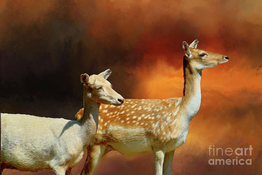 Two Deer at Sunset Digital Art by Janette Boyd