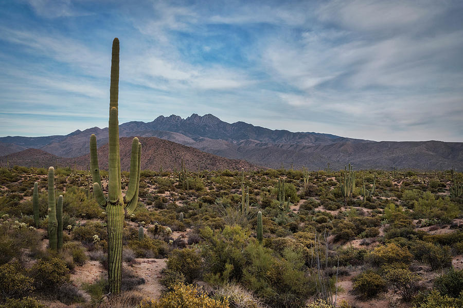 Where the Desert Meets the Mountain Photograph by Saija Lehtonen