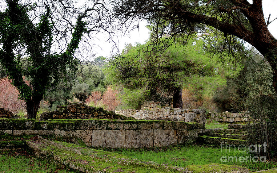 Where the first Olympics took place - Ancient runis of Olympia Photograph by Susan Vineyard