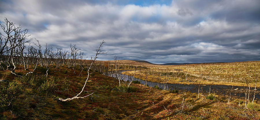 Where the Rivers Run Photograph by Pekka Sammallahti