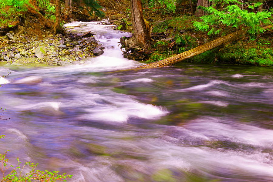 Where the stream meets the river Photograph by Jeff Swan