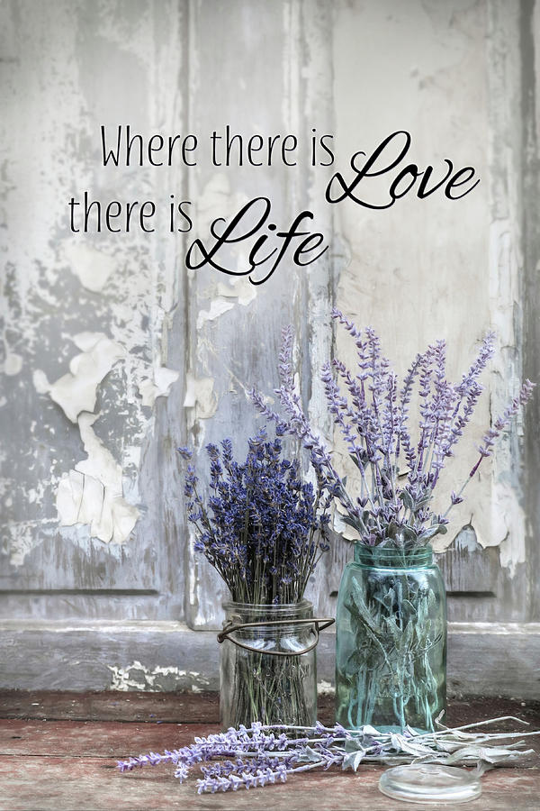Where There Is Love Photograph by Lori Deiter