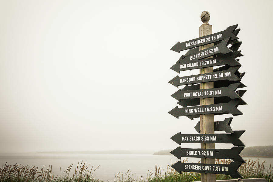 Where to next? by Crystal Fudge Where to next? by Crystal Fudge