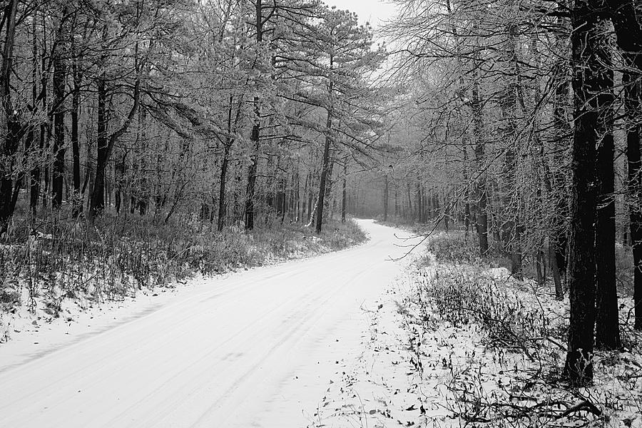 Winter Photograph - Where will it lead by Jean Macaluso Winter Photograph - Where will it lead by Jean Macaluso