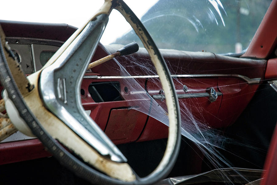 Spider Photograph - Wheres Charlotte by Wayne Stadler