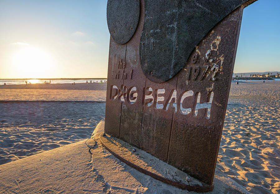 Wheres Your Pooch Dog Beach San Diego Photograph by Joseph S Giacalone