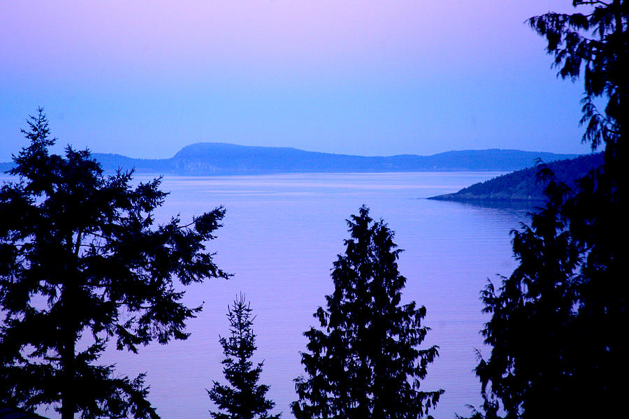 Whidbey Lavender Sunset Photograph by Tammy Hankins