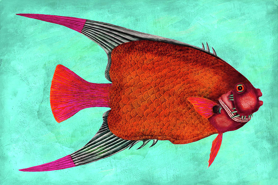 Whimsical Angel Fish Wall Art Mixed Media by Georgiana Romanovna