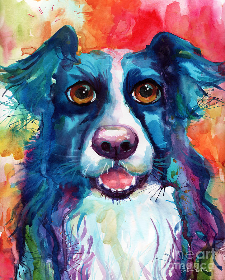 Whimsical Border Collie dog portrait Painting by Svetlana Novikova - Pixels