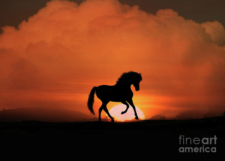 Whimsical Horse and Sunrise Photograph by Stephanie Laird