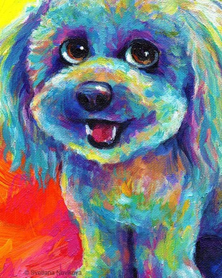 Dog Photograph - Whimsical Labradoodle Painting By by Svetlana Novikova