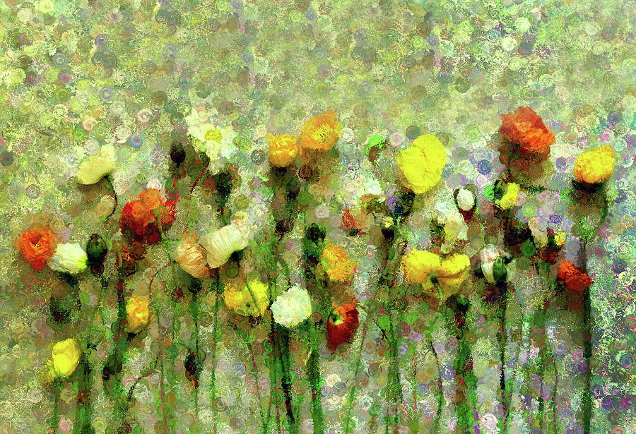 Whimsical Poppies On The Wall Mixed Media by Georgiana Romanovna
