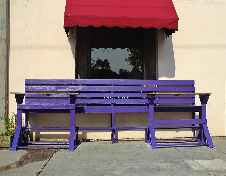 Whimsical Purple Bench  Photograph by Cynthia Guinn