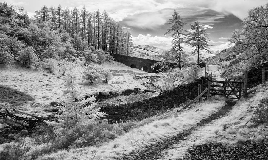 Whinlatter Pass in Monochrome Photograph by John Paul Cullen