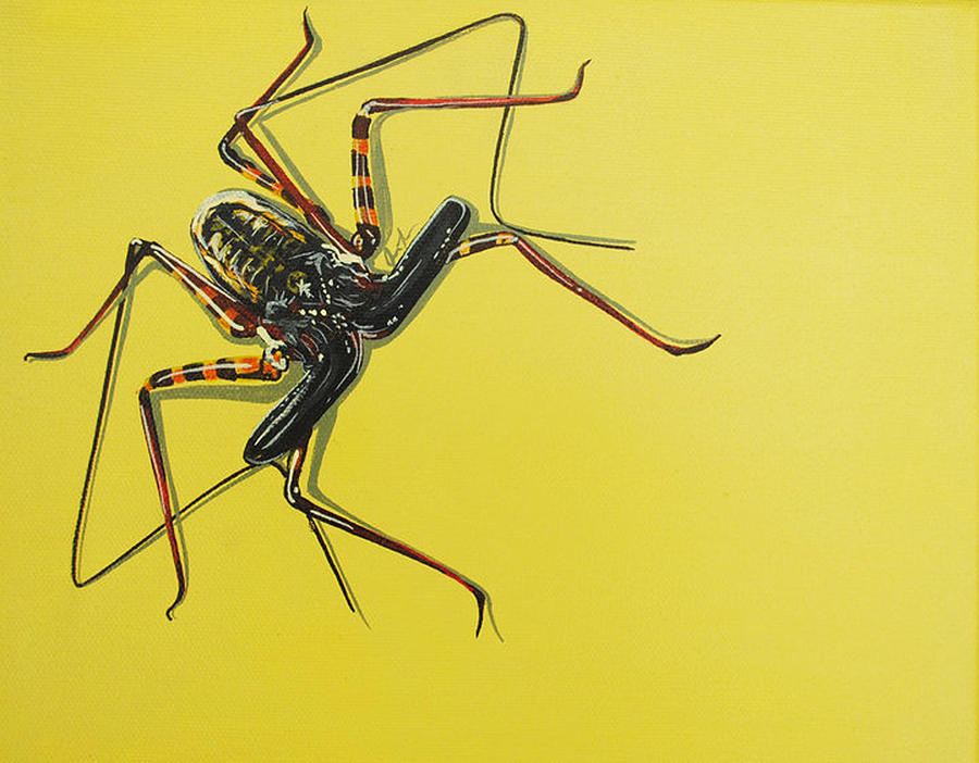 Spider Painting - Whip Scorpion by Jude Labuszewski