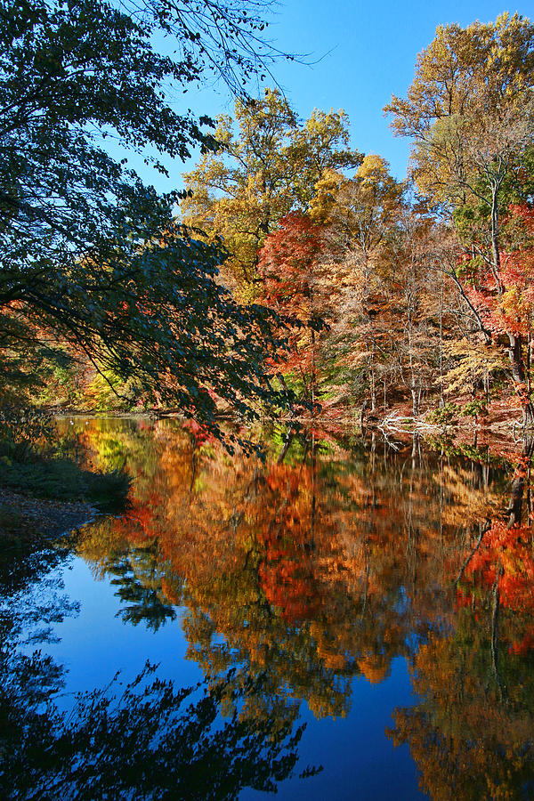 Whippany River Reflection 2 Photograph by Allen Beatty