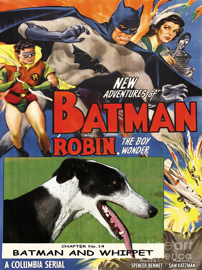 Whippet Art - Batman Movie Poster Painting by Sandra Sij