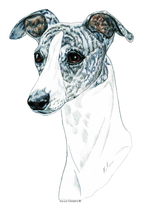 Christmas Drawing - Whippet, Brindle by Kathleen Sepulveda