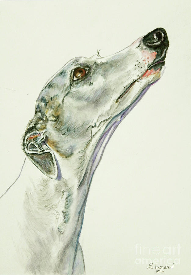Dog Painting - Whippet by Suzanne Leonard