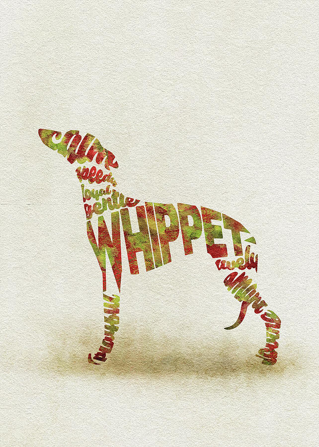 Whippet Watercolor Painting / Typographic Art Painting by Inspirowl Design