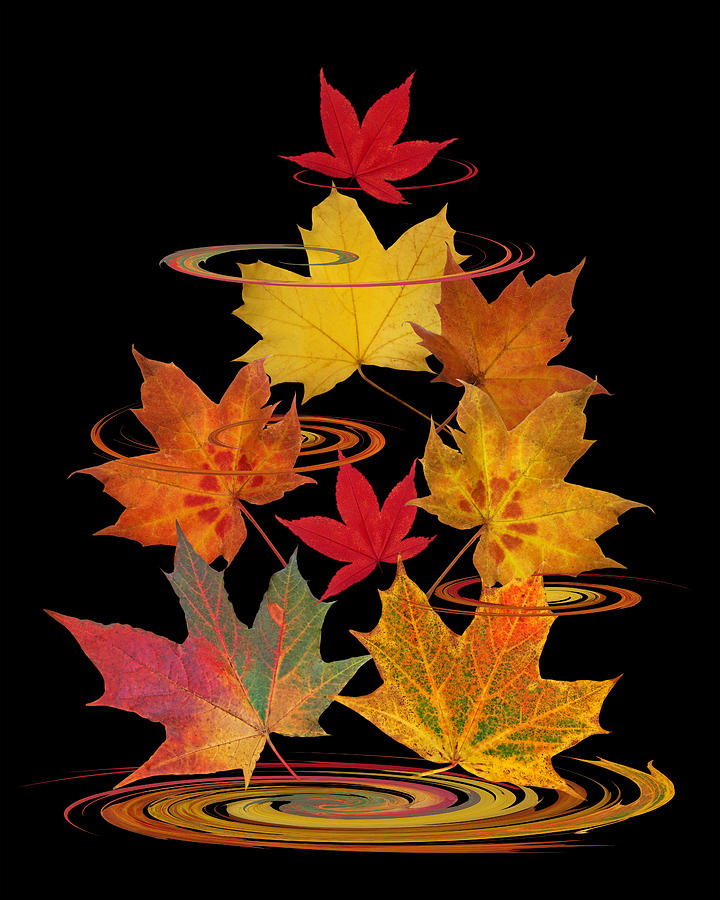 Fall Photograph - Whirling Autumn Leaves by Gill Billington
