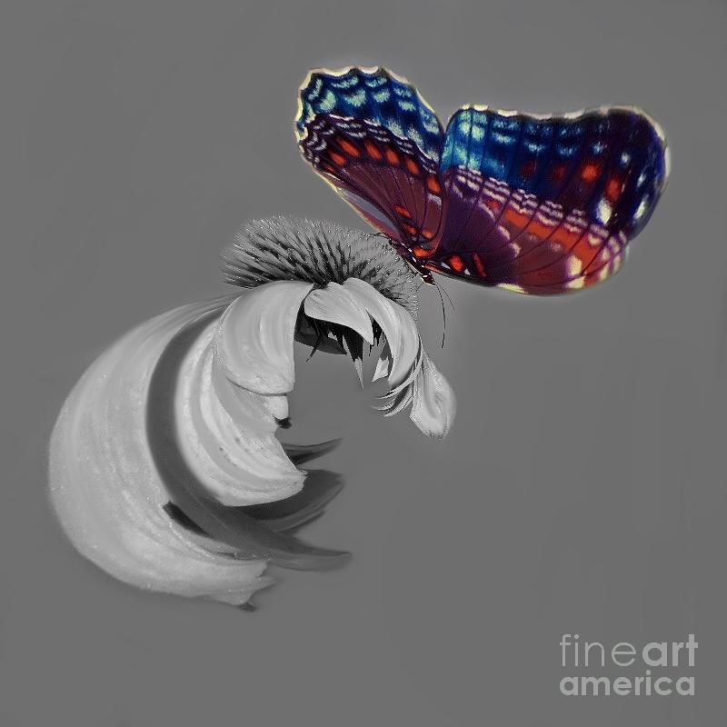 Whirlwind Butterfly 1 Digital Art by Diana Rajala