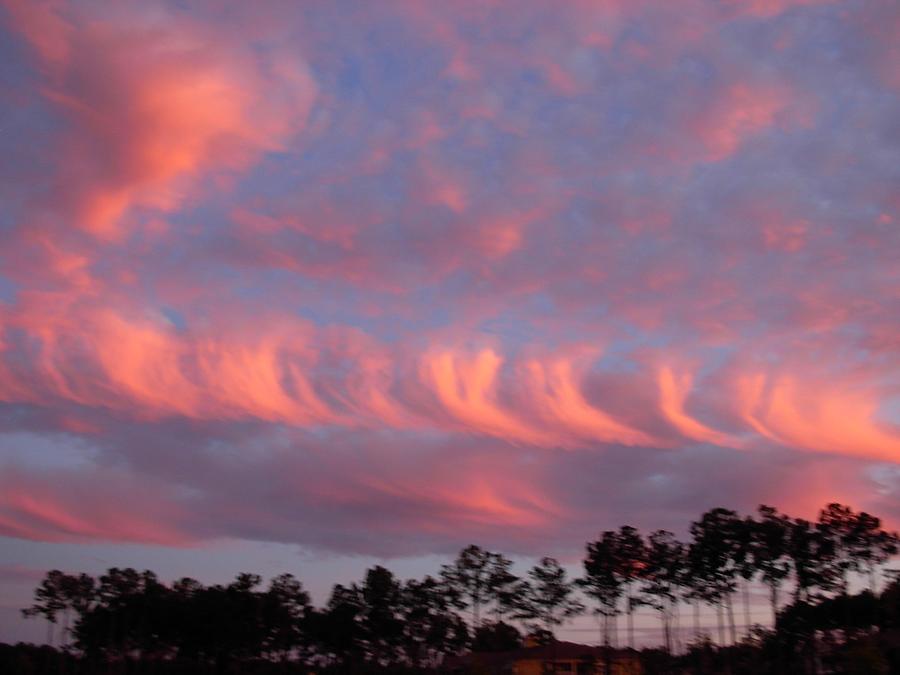Whirlwind Salmon Clouds Photograph by Jeanne Juhos