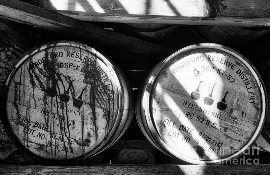 Whiskey Barrels Black and White Photograph by Mel Steinhauer