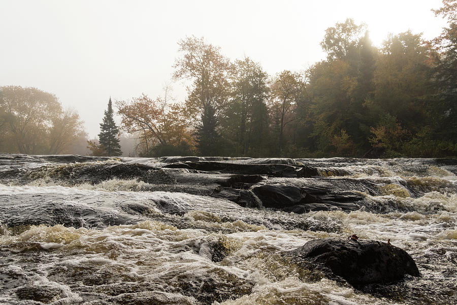 Whiskey River - Rough Rapids and Soft Fog Photograph by Georgia Mizuleva
