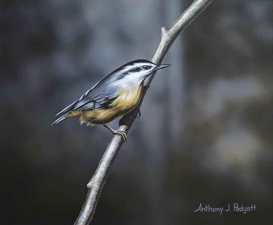 Bird Painting - Whisper by Anthony J Padgett
