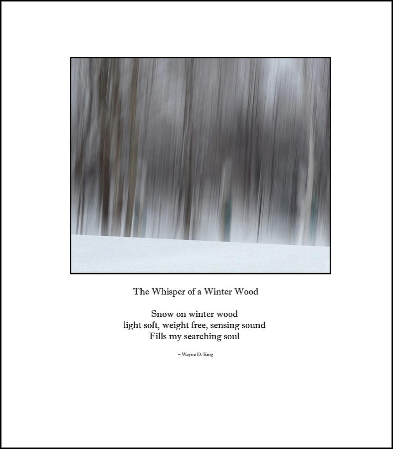 Whisper of a Winter Wood Haiku Photograph by Wayne King