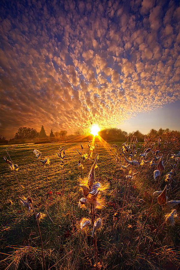 Fall Photograph - Whisper the Wind Into the Light by Phil Koch