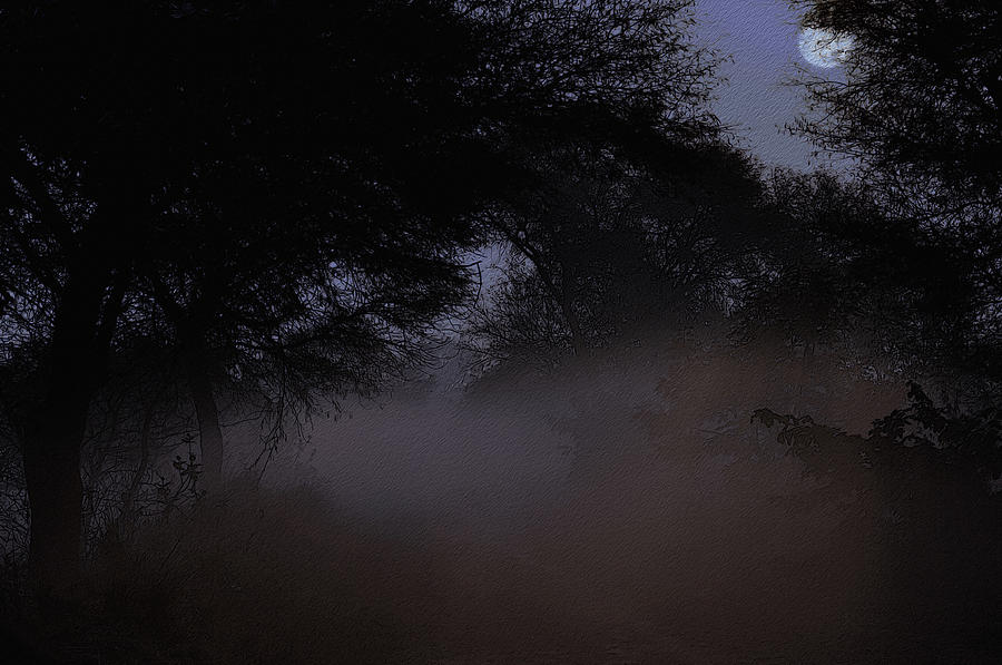 Forest Digital Art - Whispering Mist by Manjot Singh Sachdeva Forest Digital Art - Whispering Mist by Manjot Singh Sachdeva