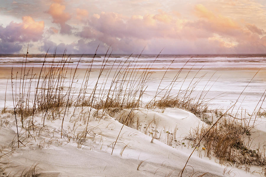 Whispers in the Dunes Photograph by Debra and Dave Vanderlaan