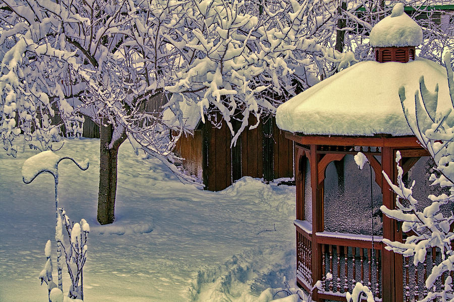 Whispers in the Snow Photograph by Mike Smale Whispers in the Snow Photograph by Mike Smale