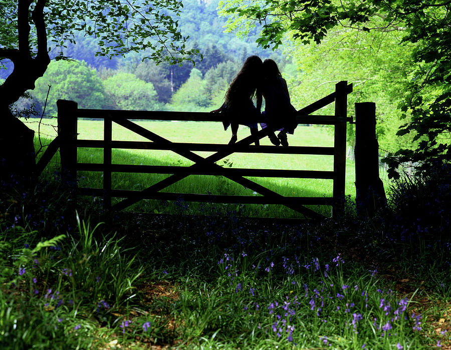 Best friends on a farm gate in Devon Photograph by Maggie Mccall
