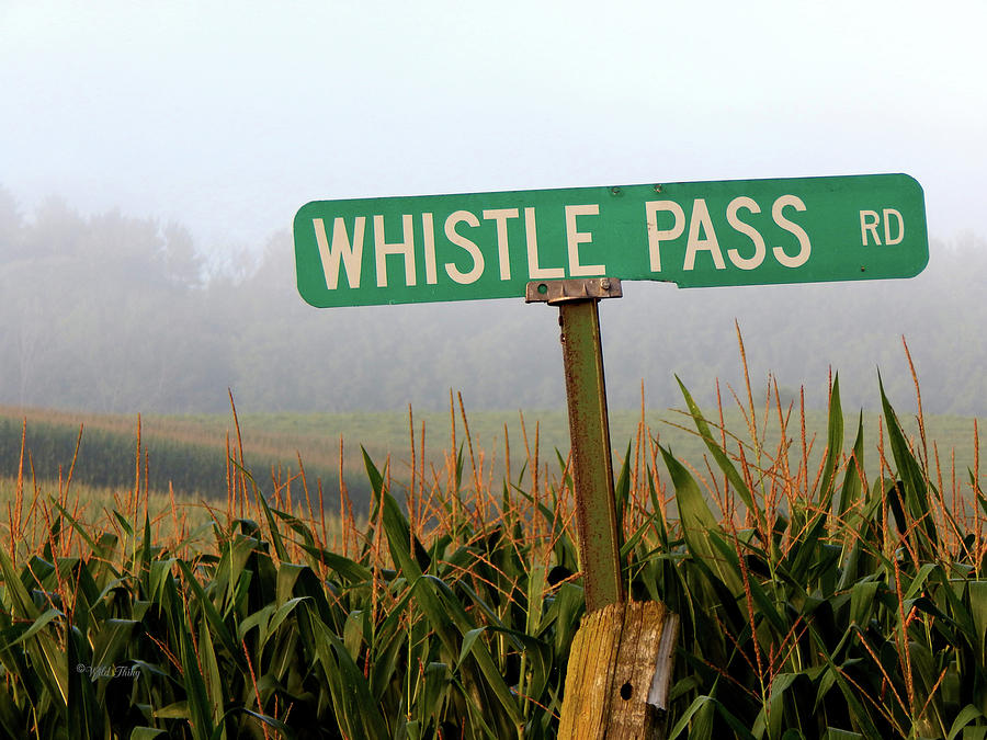 Whistle Pass Rd Photograph by Wild Thing