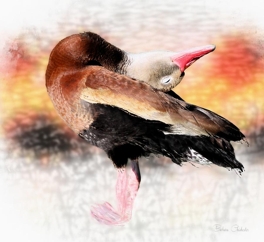 Whistling Duck Yoga Pose Painting by Barbara Chichester
