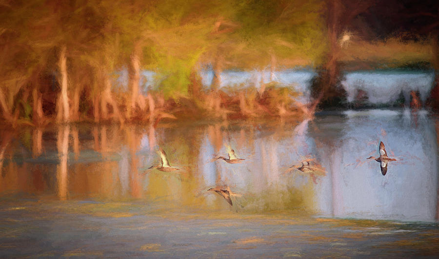Whistling Ducks Digital Art by Glenn Woodell